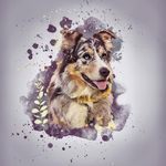 Jake, quinn, roezee, shelby - @lifewithanaussie - Instagram