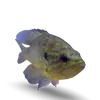jakesrader - @jakesrader - TikTok