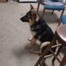 Jake Rasmussen - Facebook