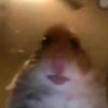 Jake Ray - @jakeray03 - TikTok