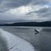 Jake Rea - Facebook