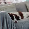 Jake Rhodes - @jakerhodes29 - TikTok