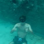 Jake Robertson - @jakefromstfarmmm - Instagram