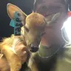jake.robertson333 - @jake.robertson333 - TikTok
