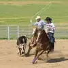 jake_teamroper - @jake_teamroper - TikTok