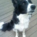 Jake Rossiter - Facebook