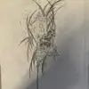 Jake Grossman - @jake.grossman21 - TikTok