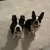 jake_rotty - @jake_rotty - TikTok