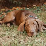 Jake Rouch - @dubch1n - Instagram