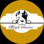 Jake Royle - @roylecanine - Instagram