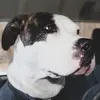 jakeroyle5 - @jakeroyle5 - TikTok