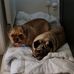 The adventures of Jake and Ruby - Facebook