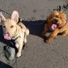 Jake and Rue bear❤️ - @jake_rue2 - TikTok