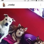 Jake Rue - @jake.rue.75 - Instagram