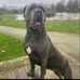 Jake Ruel - Facebook
