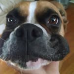 JakobRuediger - @jakeruediger - Instagram