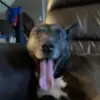Jake_M_Ruggles - @jake_m_ruggles - TikTok