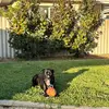 Jake.Rundle - @jake.rundle - TikTok
