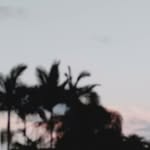 Jake Russo - @jake_russo69 - Instagram