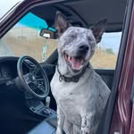 Jake Russo - @jake_fromstatefarm30 - Instagram