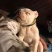 Jake Rust - Facebook