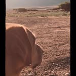 Jake Rust - @rusty__adventures - Instagram
