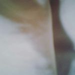 jake the bot - @jake.sabot - Instagram