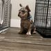 Jacob Saenz - Facebook