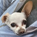 Jake - @jake_saenz13 - Instagram