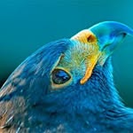 Jake Sally - @baterfly222 - Instagram