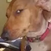 Jake sally - @bigjakee0 - TikTok