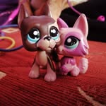 @jake_sally_lps - Instagram