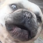 Jakey - @jake_salyer45 - Instagram
