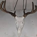 Jake Samuelson - @jake.samuelson123 - Instagram