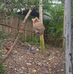Jake Sandoval - Facebook