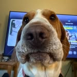 Jacob Saul - @jake_saul_47 - Instagram
