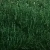 Jake saul - @ajwjefiwik - TikTok