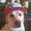 jakesaxton - @yourtaxdollarsatwork - TikTok