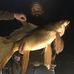 Jake Schaffer - Facebook