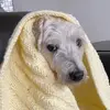 Jake Schaffer - @jake.schaffer5 - TikTok