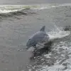 jakeschillinger - @jake.schillinger - TikTok