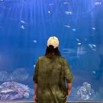 Jake Schmitz - @jakeschmitz - Instagram
