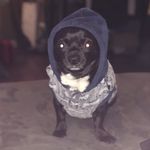 Jake Schnell - @schnelljake - Instagram