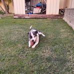 Jake Schuster - Facebook