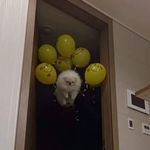 Jake Schuster - @jakeschuster123 - Instagram