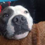 Jake Schuster - @jakedeezschuster - Instagram