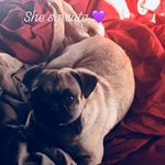 Jake Sellers - @jake.sellers.9022 - Instagram