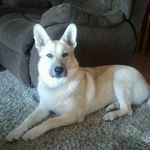 Jake Sessions - @seshman710 - Instagram