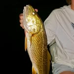 jake shaffer - @jake_goes_fishing - Instagram