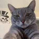 @jake._.shaver - Instagram